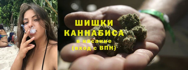 PSILOCYBIN Богородск